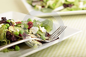 Plates of fresh salad photo