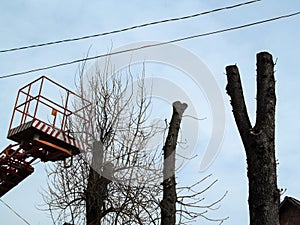 Platform of the aerial device on the background of pollarding trees, electric wires and blue sky, nobody. The concept of spring