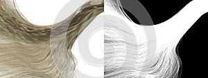 Platinum Blonde Wavy Hair Isolated Texture - Fair Friz Locks with Clipping Mask