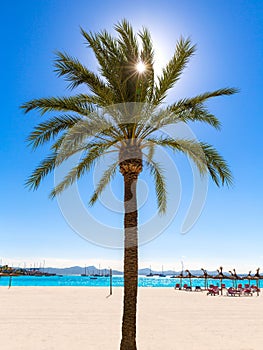Platja de Alcudia beach in Mallorca Majorca