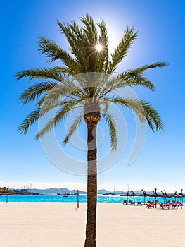 Platja de Alcudia beach in Mallorca Majorca photo