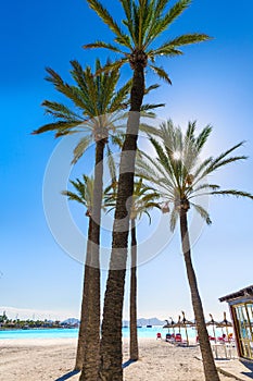 Platja de Alcudia beach in Mallorca Majorca photo