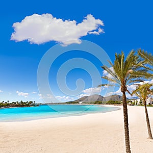 Platja de Alcudia beach in Mallorca Majorca photo