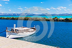 Platja de Muro Esperanza beach Alcudia Bay Majorca photo