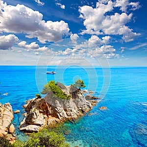 Platja Fenals Beach in Lloret de Mar Costa Brava photo