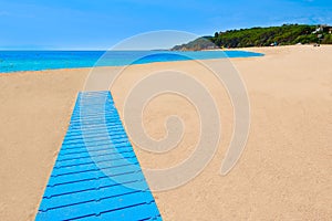 Platja Fenals Beach in Lloret de Mar Costa Brava photo