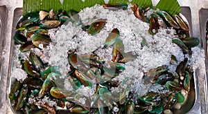 A platter of Fresh Green Mussels Shellfish