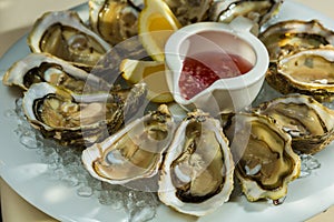 A platter of fresh organic raw oysters on ice