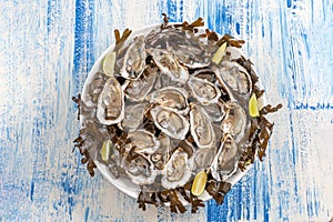 Platter of oysters on blue board