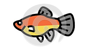 platy fish color icon animation