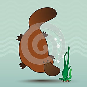 Platypus