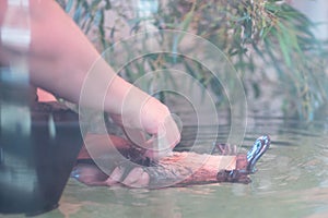 Platypus at Healesville Sanctuary