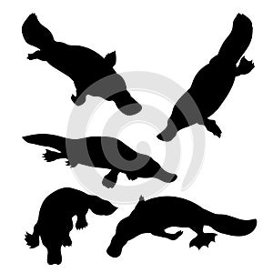 Platypus set vector