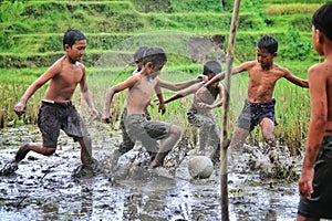 Play ball in the mud
