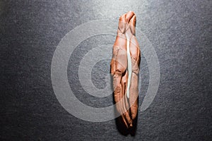 Play doh to Gingerbread Man Evolution 1