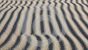 Play of light and shadow across the surface enhances the three