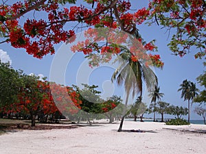 Playa Ancon photo