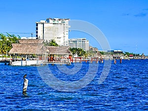 Playa Azul beach palm seascape panorama in Cancun Mexico