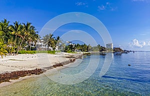 Playa Azul beach palm seascape panorama in Cancun Mexico