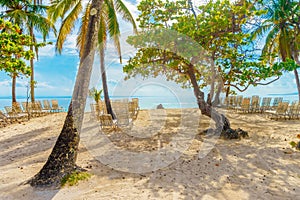 Playa Cayo Levantado Beach View