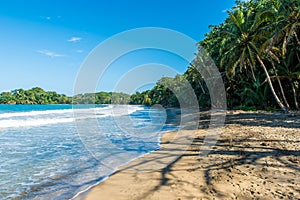 Playa Chiquita - Wild beach close to Puerto Viejo, Costa Rica photo