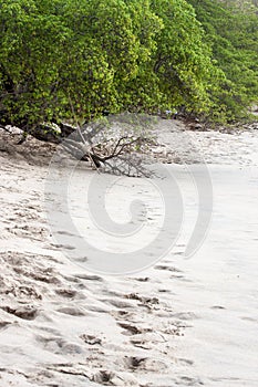 Playa Conchal Beach in Costa Rica