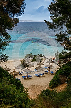 Playa de Illetes through the trees, a tranquil beach paradise in Mallorca