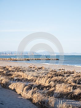 Playa de la Devesa del Saler beach in Valencia photo