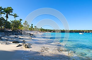 Playa de la isla Catalina - Caribbean tropical sea