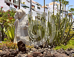 Playa De Las Americas cactus garden