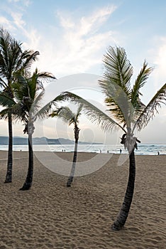 Playa de Las Canteras - beautiful beach in Las Palmas de Gran Canaria photo