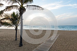 Playa de Las Canteras - beautiful beach in Las Palmas de Gran Canaria photo