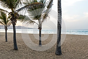 Playa de Las Canteras - beautiful beach in Las Palmas de Gran Canaria photo