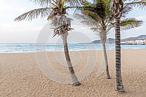 Playa de Las Canteras - beautiful beach in Las Palmas de Gran Canaria photo