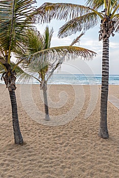 Playa de Las Canteras - beautiful beach in Las Palmas de Gran Canaria photo