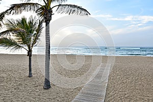 Playa de Las Canteras - beautiful beach in Las Palmas de Gran Canaria photo