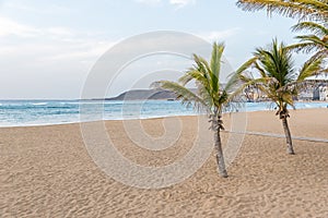 Playa de Las Canteras - beautiful beach in Las Palmas de Gran Canaria photo