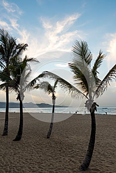 Playa de Las Canteras - beautiful beach in Las Palmas de Gran Canaria photo