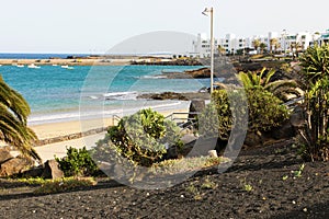 Playa de las Cucharas beach with vegetation in black volcanic ground, Costa Teguise, Lanzarote photo
