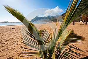 Playa de Las Teresitas