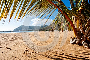 Playa de Las Teresitas