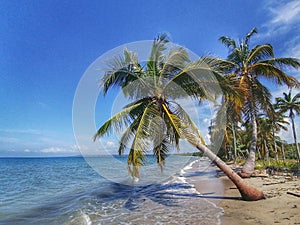 Playa de rincon del mar en el Caribe colombiano. San onofre, Sucre. Colombia
