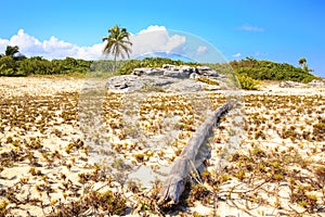 Playa Del Carmen beach, Mexico