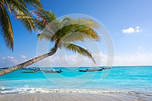 Playa del Carmen beach palm trees Mexico