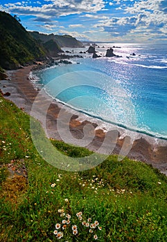 Playa del Silencio in Cudillero Asturias Spain photo