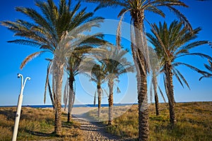 Playa El Pinar beach in Grao de Castellon photo