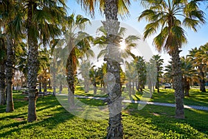 Playa El Pinar beach in Grao de Castellon photo