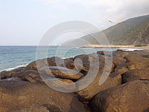 Playa Grande - Venezuela