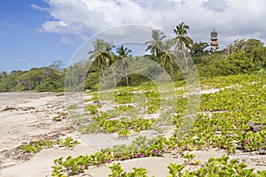 Playa Guiones Dunes and Hotel Nosara