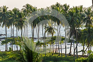 Playa hermosa en Costa Rica - pacific coast photo